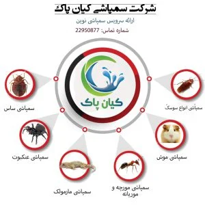 خدمات متنوع یک شرکت سمپاشی در مشهد
