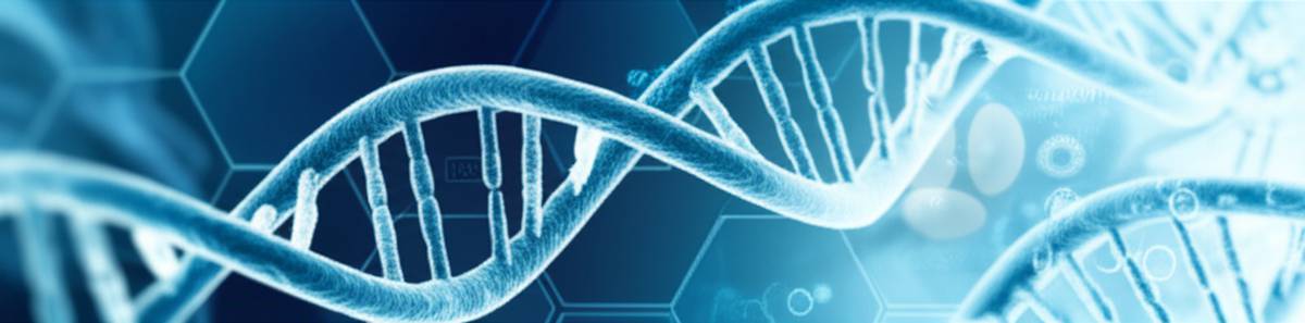 خلاصه کتاب بیماری های مقاربتی - راهنمای جامع تاسیا کولسنیفک