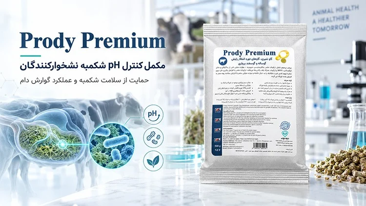 تاثیر پرودی پریمیوم‎ (Prody Premium) ‎در درمان اسهال گاو